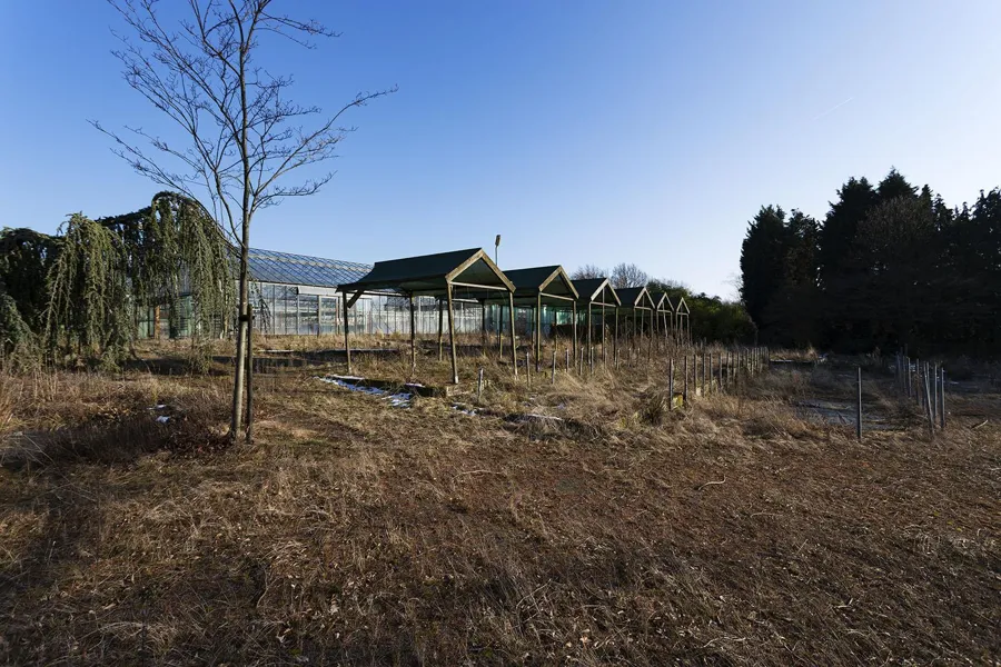 Verwilderde buitentuin voor een rij groene houten afdakjes.