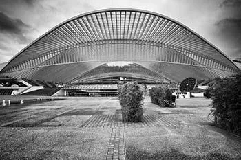 Vue extérieure en noir et blanc de Liège-Guillemins, avec une grande couverture courbe au-dessus d’une place aux arbres taillés.