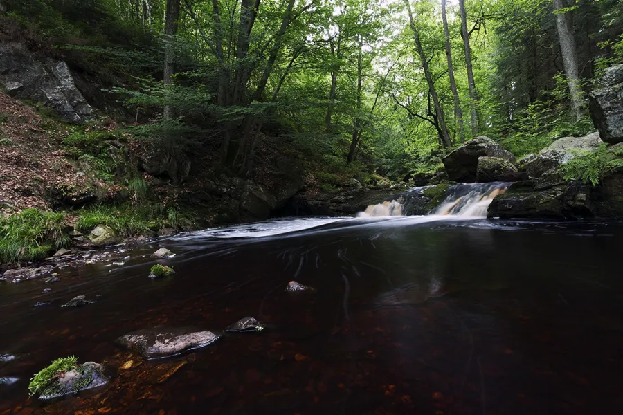 L'eau sombre et calme de la Hoëgne au premier plan, une petite cascade au fond et une paroi rocheuse végétalisée à gauche.