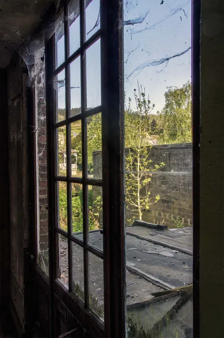 Open glazed door leading to an overgrown terrace.