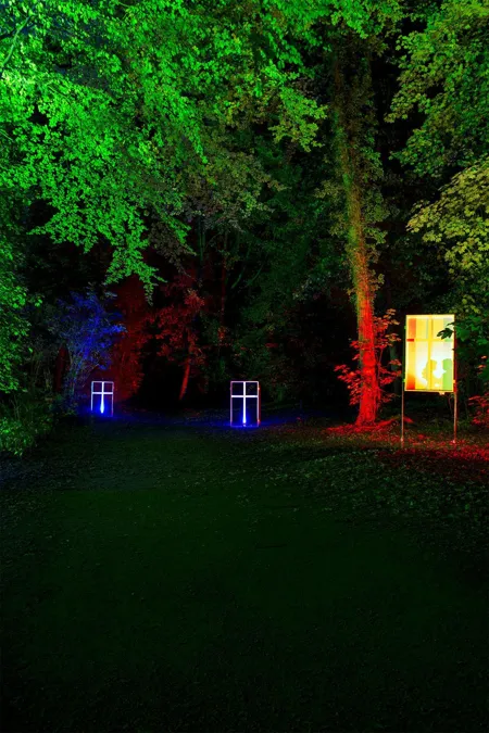 Groen verlichte boomkroon boven gras en twee kleine lichtgevende raamvormen.
