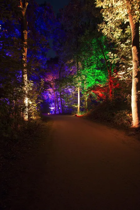 Leeg parkpad tussen bomen die groen, paars en warmwit worden verlicht.