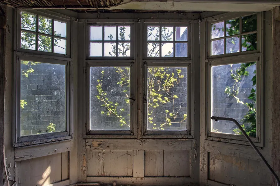 Weathered bay window with tall panes and vegetation outside.