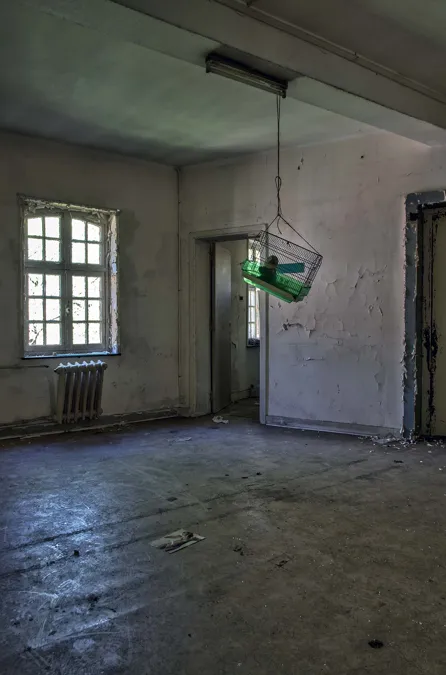 Cage à oiseaux verte suspendue au plafond d’une pièce vide aux murs dégradés.