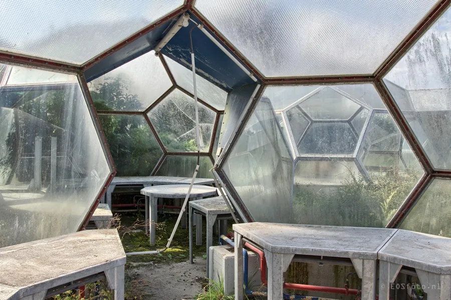 Tables de travail le long de panneaux de serre courbes et hexagonaux