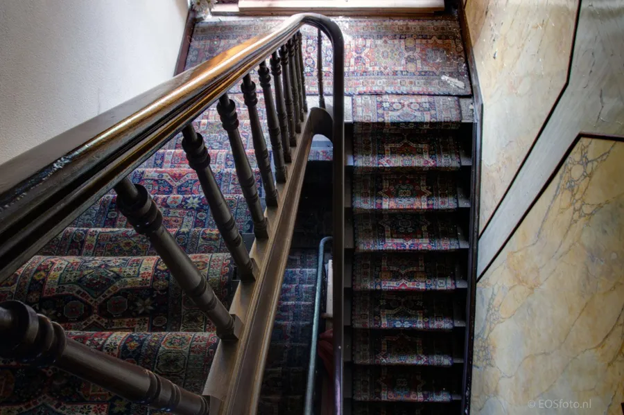 Curved banister above steps with a dark patterned runner.
