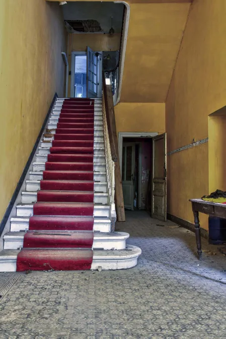 Red stair runner on a straight staircase between yellow walls.