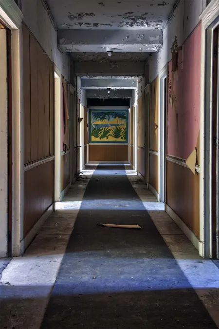 Hotel corridor with a dark runner and a painting at the end.
