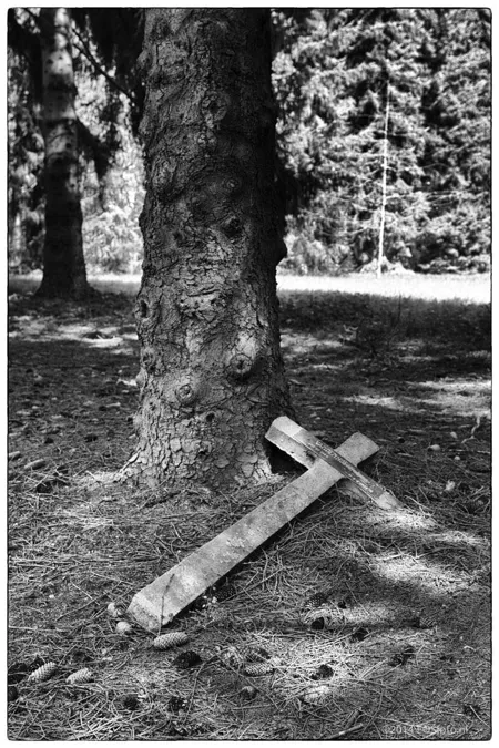 Croix en bois tombée contre un tronc, photographiée en noir et blanc.