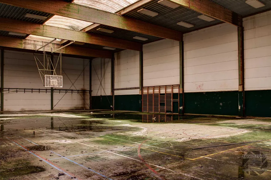 Gym with wooden wall bars, basketball backboard and green growth on the floor.