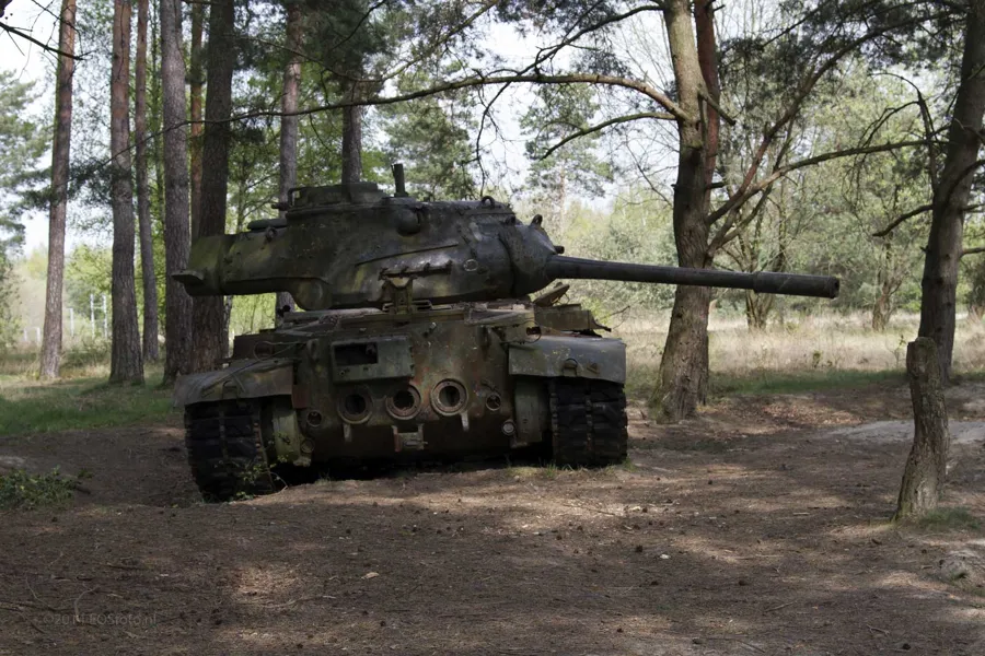 Frontansicht eines alten Panzers zwischen geraden Kiefernstämmen.