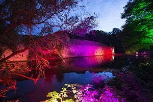 Illuminated fortification wall behind branches and waterside plants at twilight.