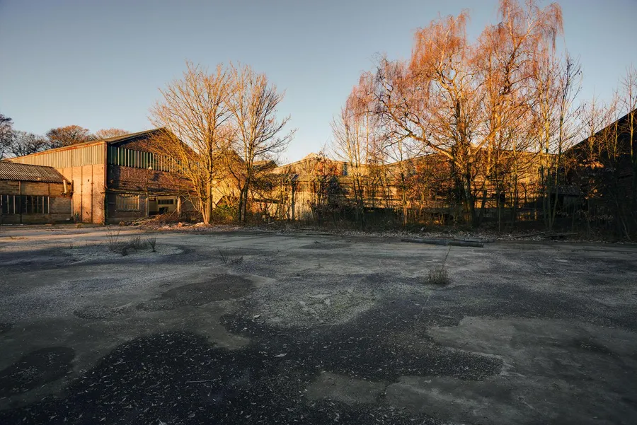 Verlaten fabrieksterrein met bomen in warm avondlicht.