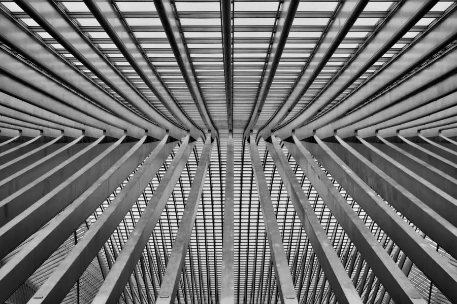Vista en blanco y negro hacia el techo, con nervaduras juntas y soportes diagonales en un patrón simétrico.