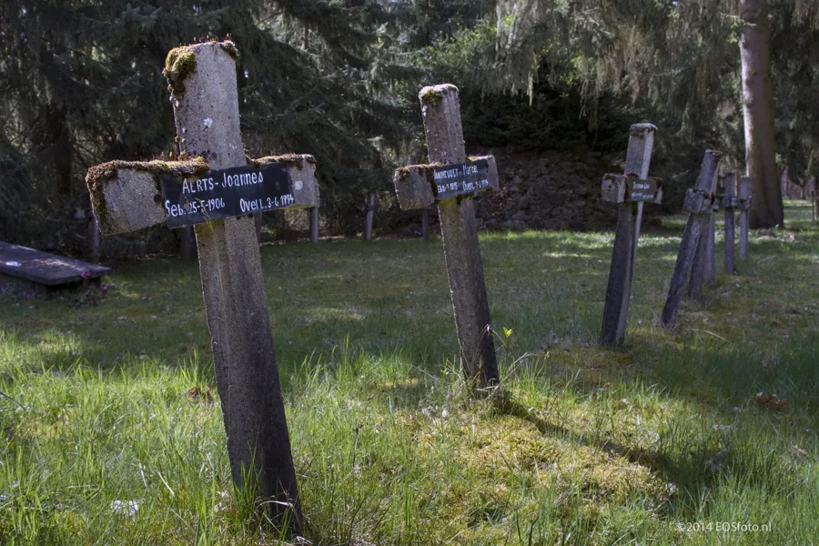 Rangée de croix en bois moussues à plaques sombres dans l’herbe.