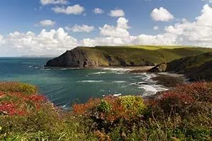 Broad green headland above a rocky bay, with flowering heather in front and white clouds over the sea.