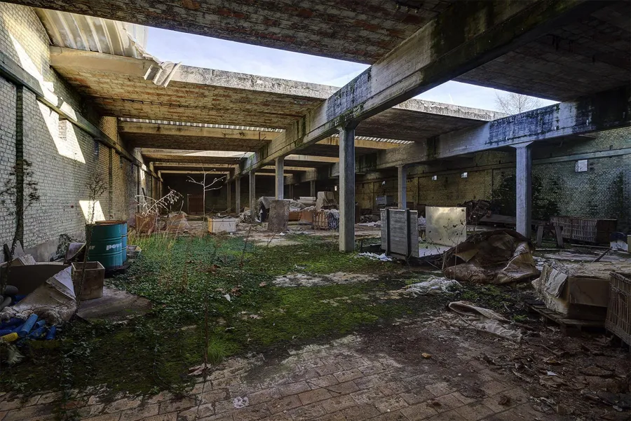 Nave industrial larga vacía con huecos en el tejado y plantas en el suelo.