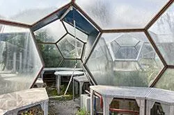 Workbenches along curved and hexagonal greenhouse panels