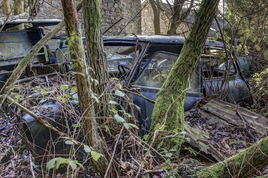 Blaue Autowracks fast verborgen hinter bemoosten Bäumen und Sträuchern.
