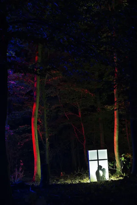 Witte lichtgevende raamvorm met donker silhouet onder rood verlichte bomen.