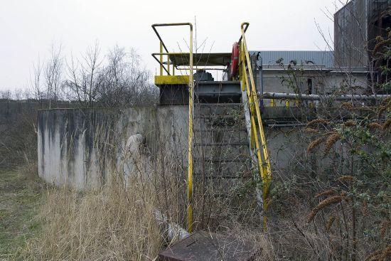 Yellow stairs beside a concrete wall among bare shrubs
